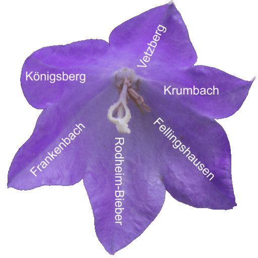 Vetzberg